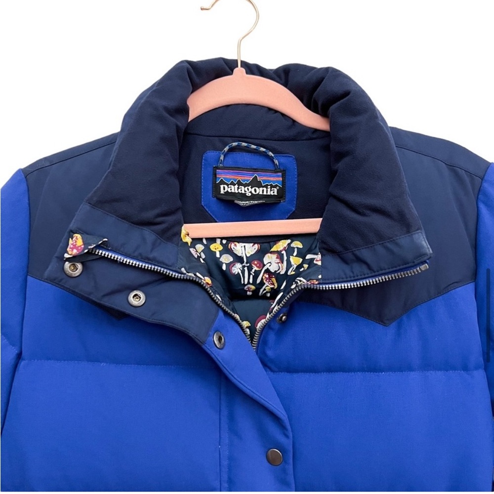 Limited Edition Patagonia Mushroom Bivy Down Puffer